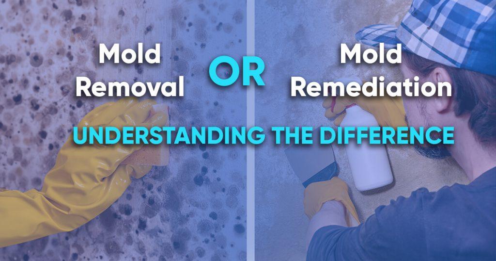 Mold Removal vs Remediation