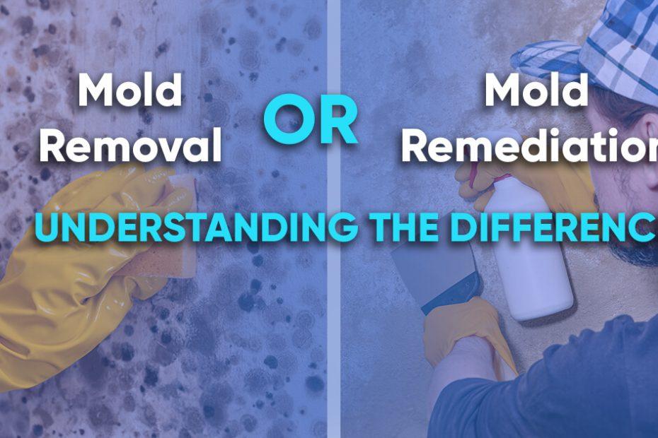 Mold Removal vs Remediation