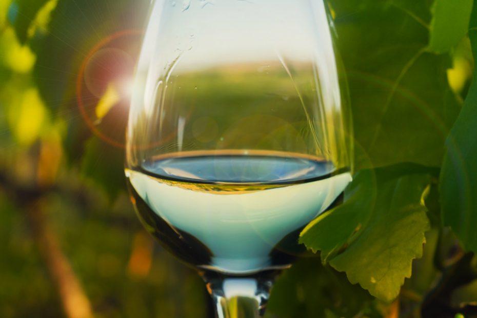 white-wine-health-benefits