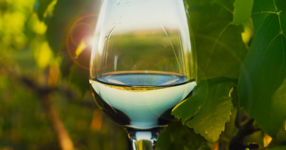 Reap Many White Wine Health Benefits by Drinking Moderately