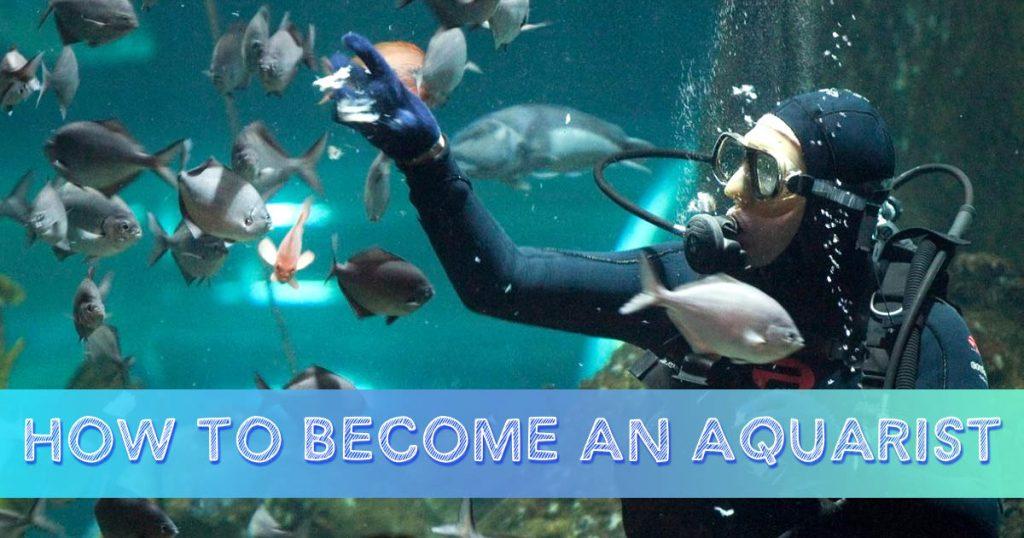 become an aquarist