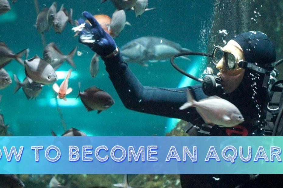 become an aquarist