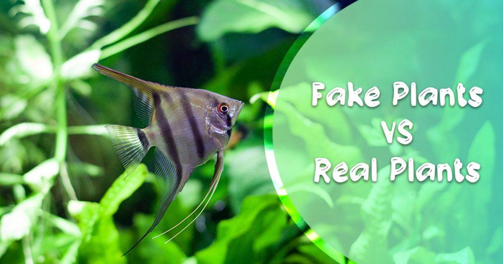 live vs fake plants aquarium