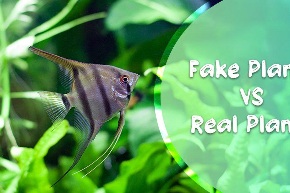 live vs fake plants aquarium