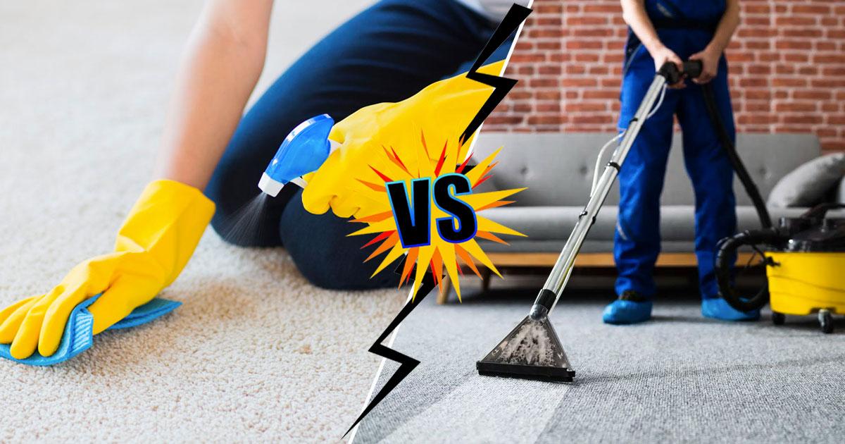 Carpet Cleaning Is it better to do it DIY or By Professional?