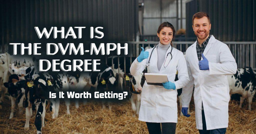 DVM MPH What Does This Dual Degree Mean