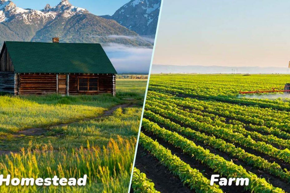 homestead-vs-farm
