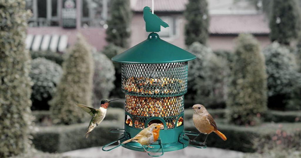 attract birds to feeder