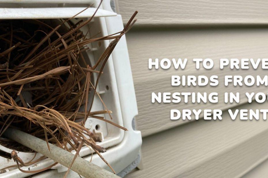 bird nest removal from vent