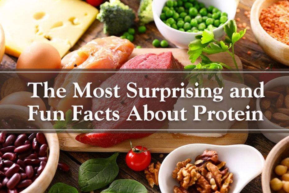 facts about protein