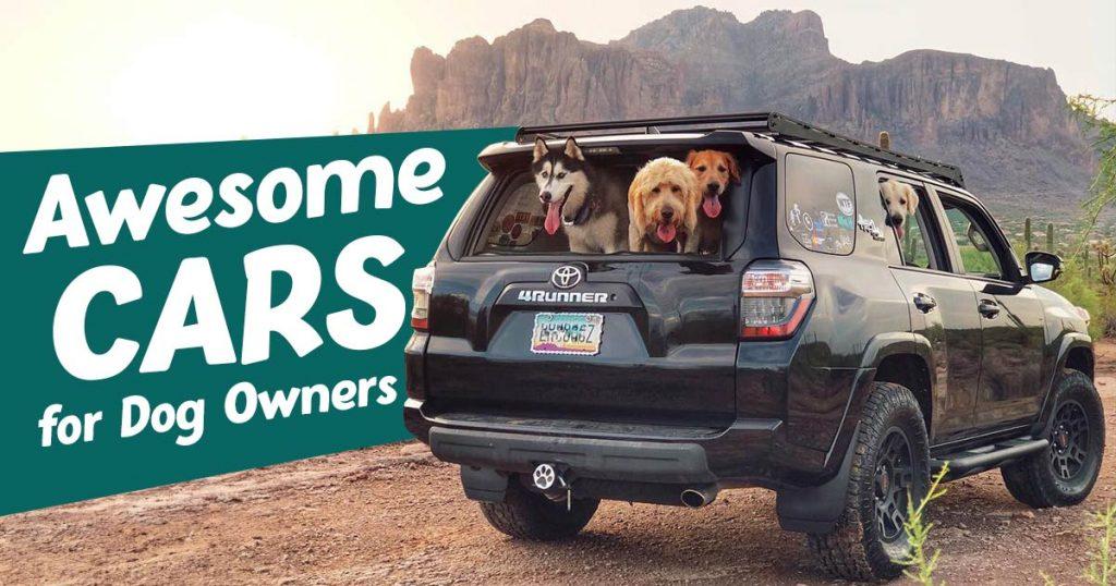 awesome-cars-for-dog-ownersz