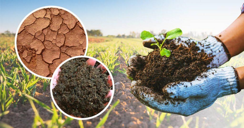 tackling soil salinization