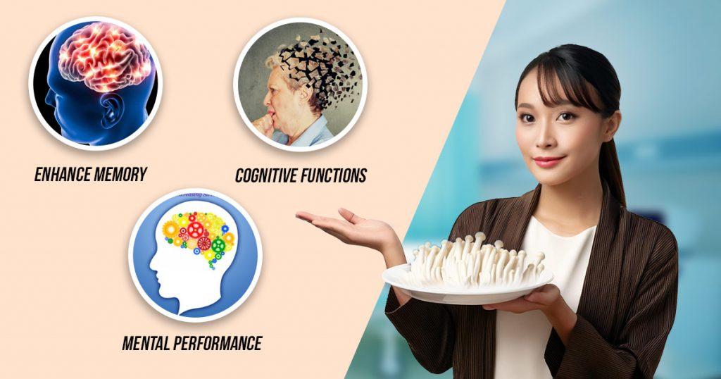 types-benefits-medicinal-nootropic-mushrooms