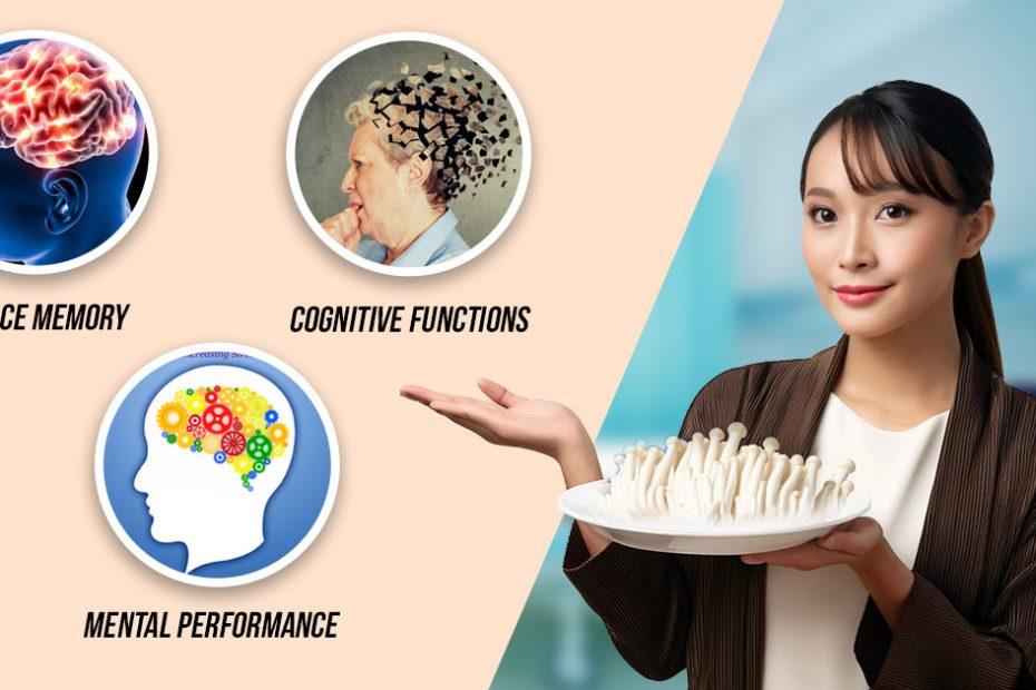 types-benefits-medicinal-nootropic-mushrooms