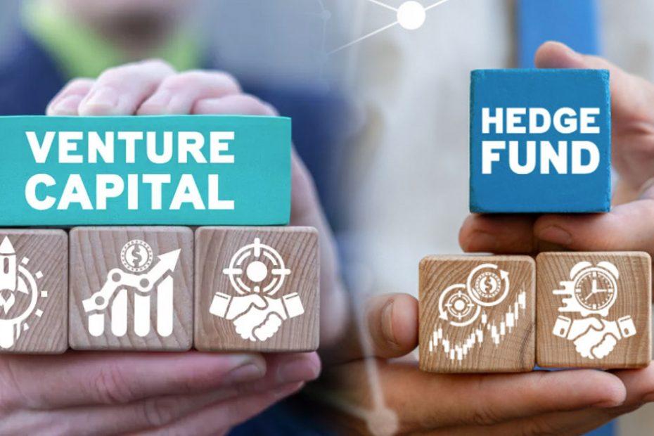 venture-capital-vs-hedge-fund