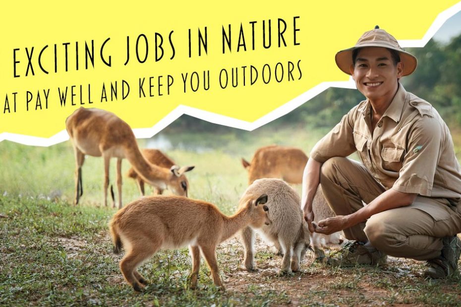 jobs in nature that pay well