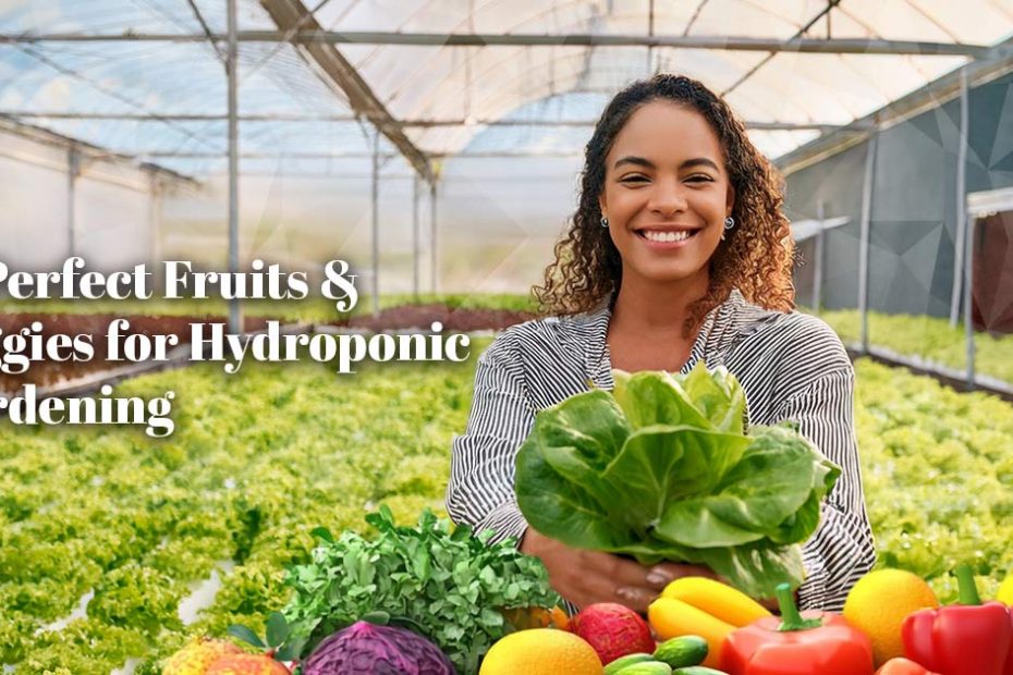 perfect-fruits&veggies-hydroponic