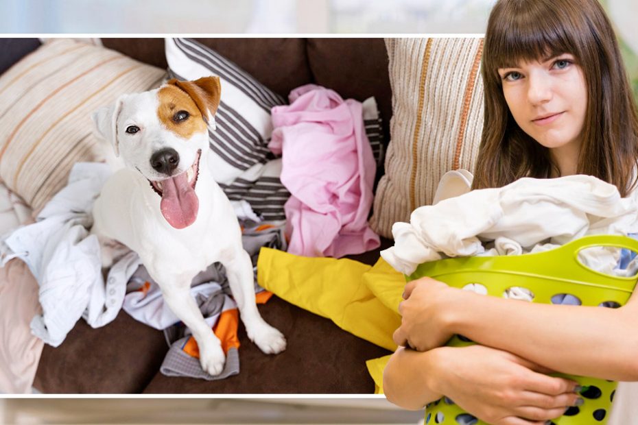 get pet hair out of laundry